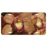 Peach Orchids with Raindrops Floral License Plate