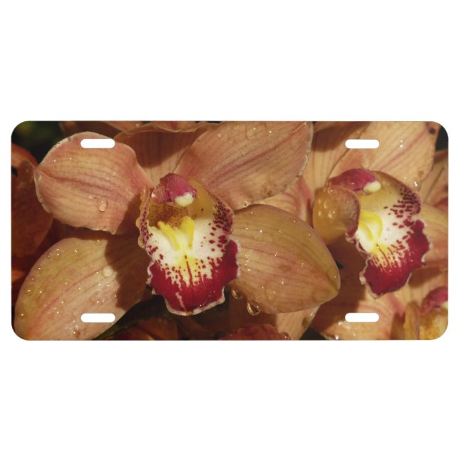 Peach Orchids with Raindrops Floral License Plate (Front)