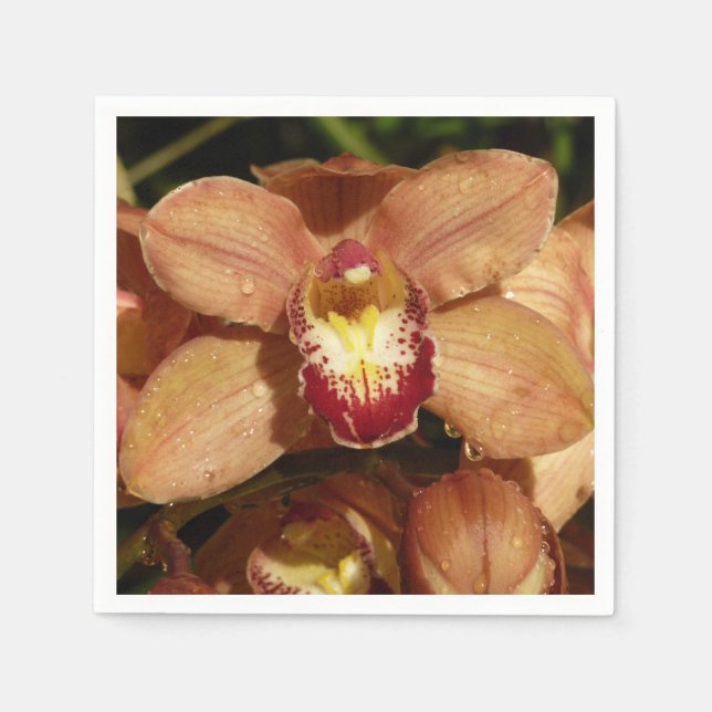 Peach Orchids with Raindrops Floral Napkins (Front)