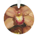 Peach Orchids with Raindrops Floral Ornament