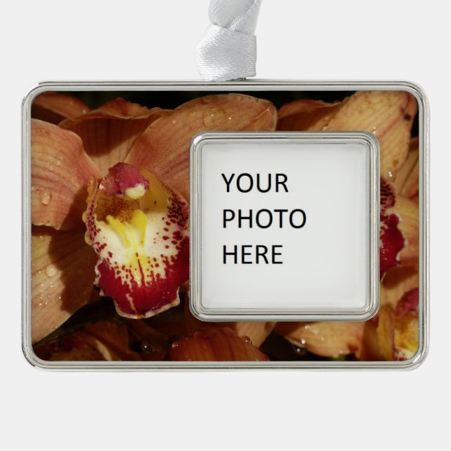 Peach Orchids with Raindrops Floral Ornament (Front)