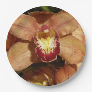 Peach Orchids with Raindrops Floral Paper Plates