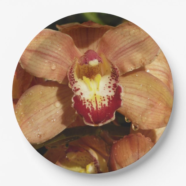 Peach Orchids with Raindrops Floral Paper Plates (Front)