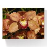 Peach Orchids with Raindrops Floral Paperweight
