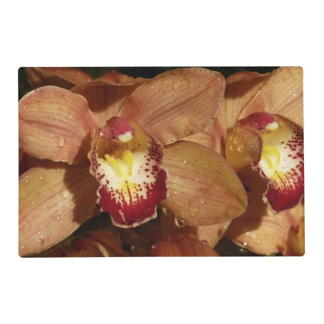 Peach Orchids with Raindrops Floral Placemat (Front)