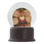 Peach Orchids with Raindrops Floral Snow Globe