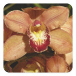 Peach Orchids with Raindrops Floral Square Sticker