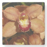 Peach Orchids with Raindrops Floral Stone Coaster