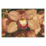 Peach Orchids with Raindrops Floral Tissue Paper