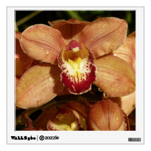 Peach Orchids with Raindrops Floral Wall Decal