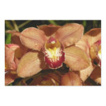 Peach Orchids with Raindrops Floral Wrapping Paper Sheets