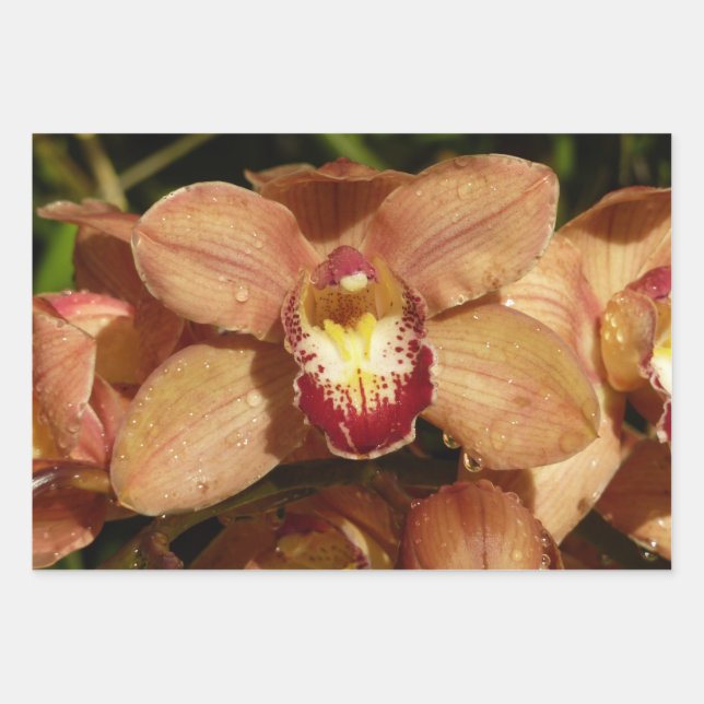 Peach Orchids with Raindrops Floral Wrapping Paper Sheets (Front)