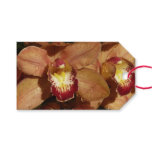 Peach Orchids with Raindrops Gift Tags