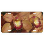 Peach Orchids with Raindrops License Plate