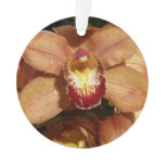 Peach Orchids with Raindrops Ornament