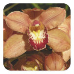 Peach Orchids with Raindrops Square Sticker