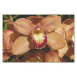 Peach Orchids with Raindrops Tissue Paper
