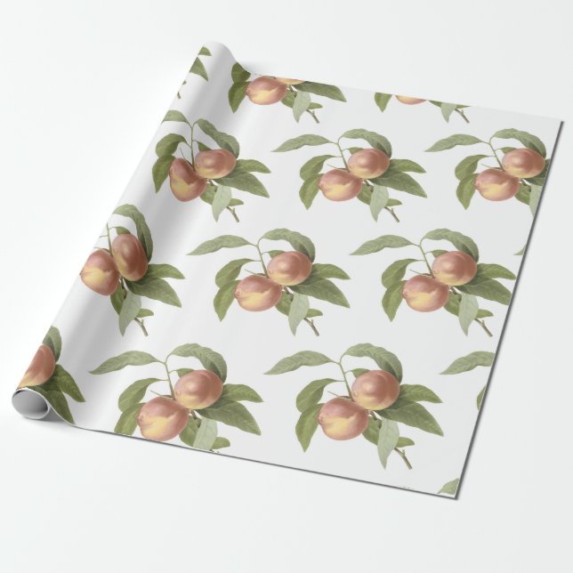Peach Pattern Wrapping Paper (Unrolled)