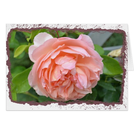 Peach Peony Card (Front Horizontal)