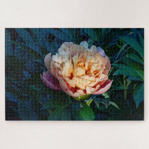 Peach Peony – Romantic Flower Photography Jigsaw Puzzle