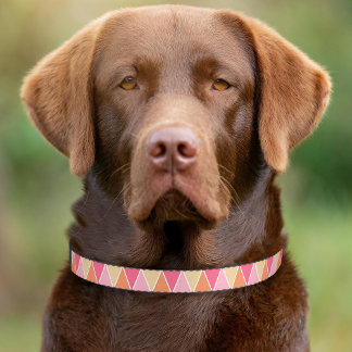 Peach Pink And Yellow Geometric Triangle Pattern Pet Collar
