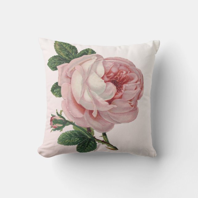 Peach Pink Cabbage Rose Pillow (Front)