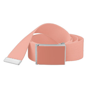 Peach Pink Chic Warm Solid Color Belt