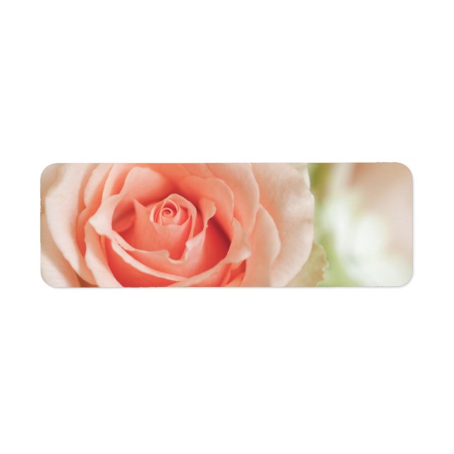 Peach Pink Rose Background Customized Label (Front)