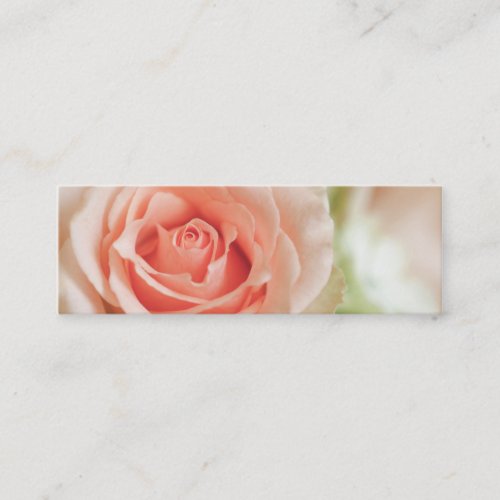 Peach Pink Rose Background Customized Business Card Templates