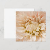 Peach, Pink, White, & Cream Dahlia - Dahlias (Front/Back)