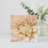 Peach, Pink, White, & Cream Dahlia - Dahlias (Standing Front)