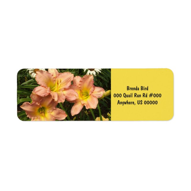 Peach pink with yellow throats daylily flowers label (Front)