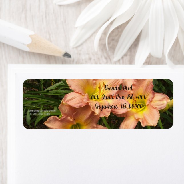 Peach pink with yellow throats daylily flowers label (Insitu)