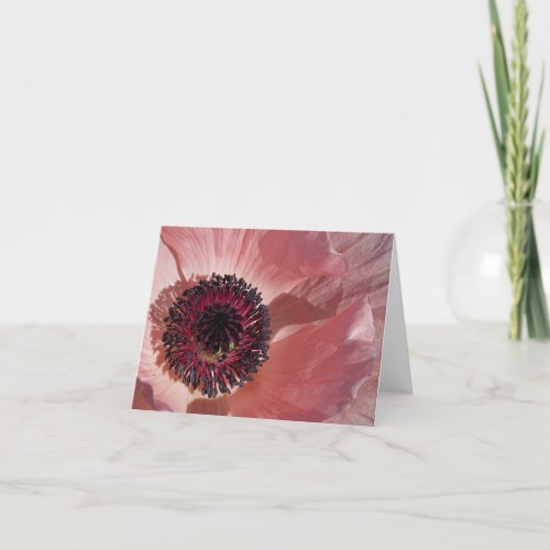 Peach Poppy Blank Notecard