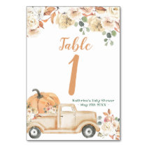 Peach Pumpkin Rustic Truck Modern Table Number