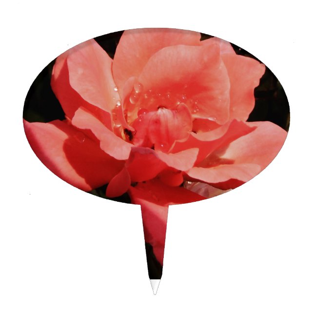 peach rose and dewdrops cake topper (Front)