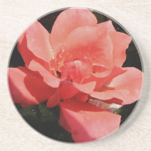 peach rose and dewdrops coaster