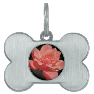 peach rose and dewdrops pet name tag