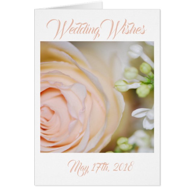 Peach Rose and Lilacs Cards (Front)