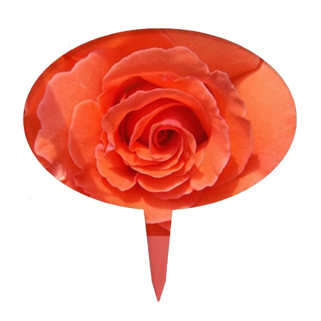 Peach Rose Cake Topper (Front)