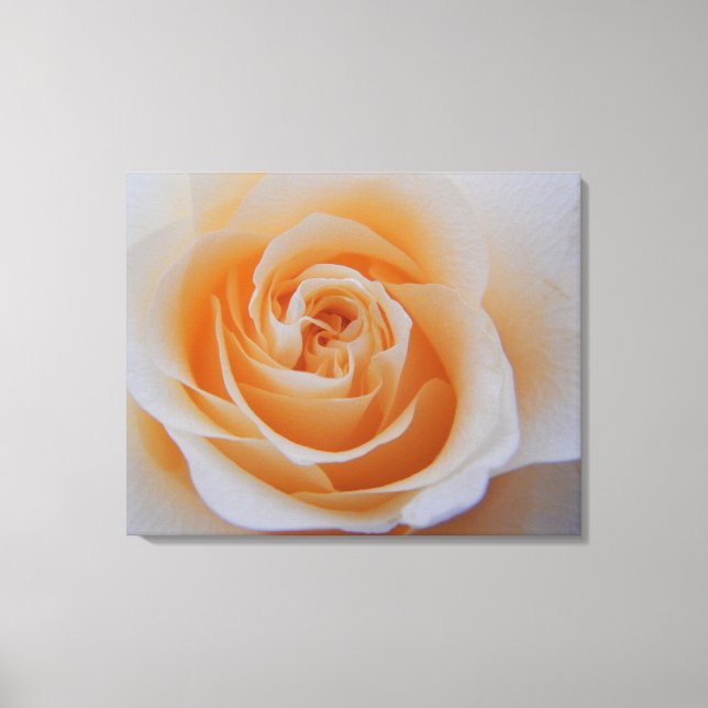 Peach Rose Canvas Print (Front)