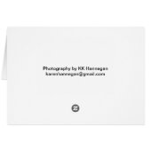 Peach Rose card (Back Horizontal)