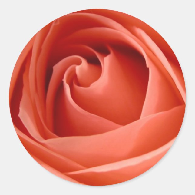 Peach Rose Envelope Seal Stickers (Front)