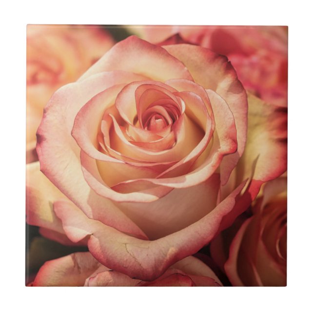 Peach Rose Flower Ceramic Tile (Front)