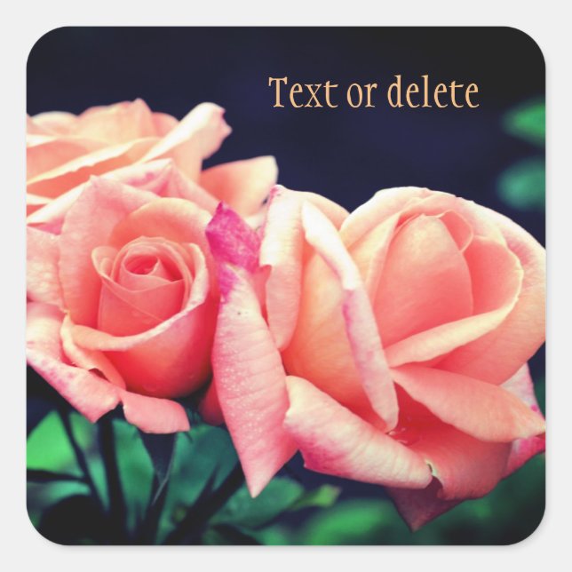 Peach Rose Flower Personalized Square Sticker (Front)
