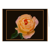 Peach Rose Macro (Front Horizontal)