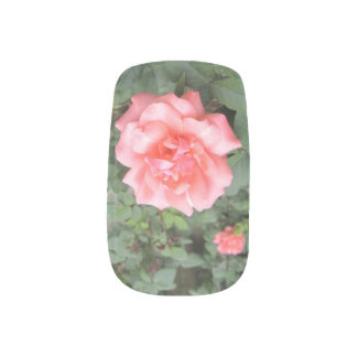 Peach Rose Nail Art Nail Polish Strips Decals