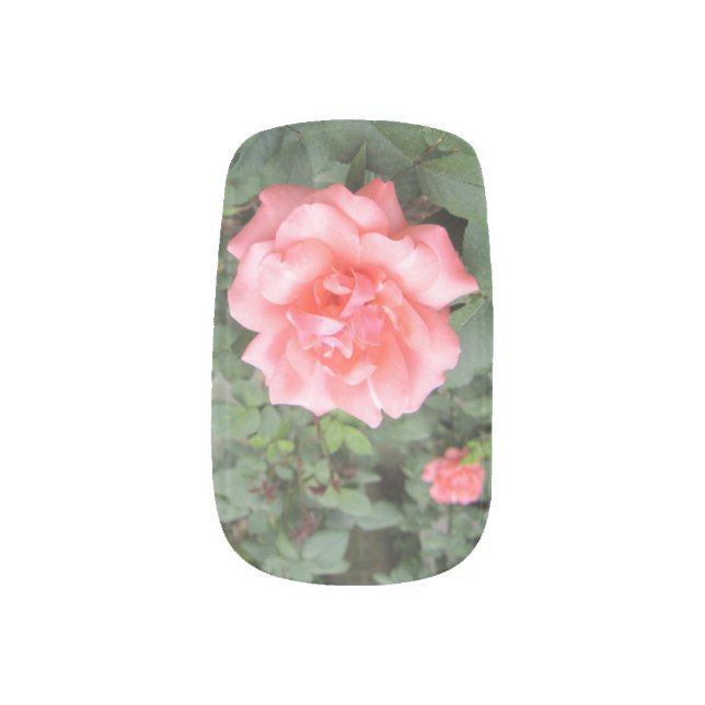 Peach Rose Nail Art Nail Polish Strips Decals (Left Thumb)