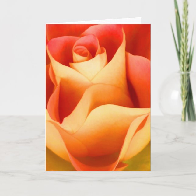 Peach Rose Note Card (Front)