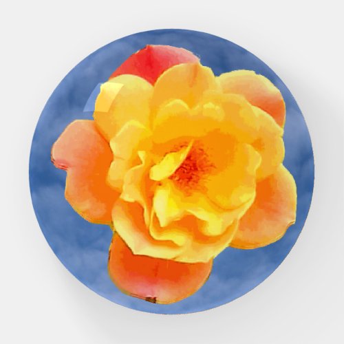 Peach Rose on Blue Sky Paperweight